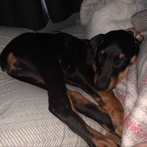 Meet your Posher, Aaron